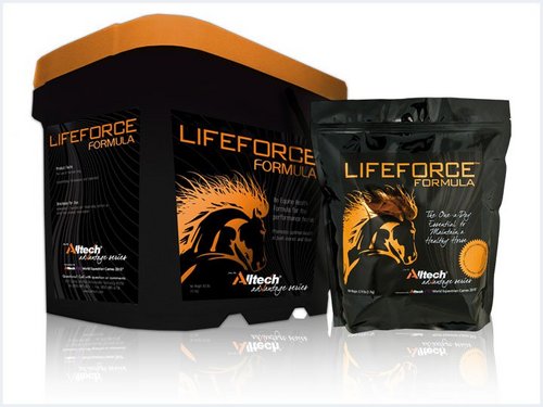 DECOUVREZ LIFEFORCE