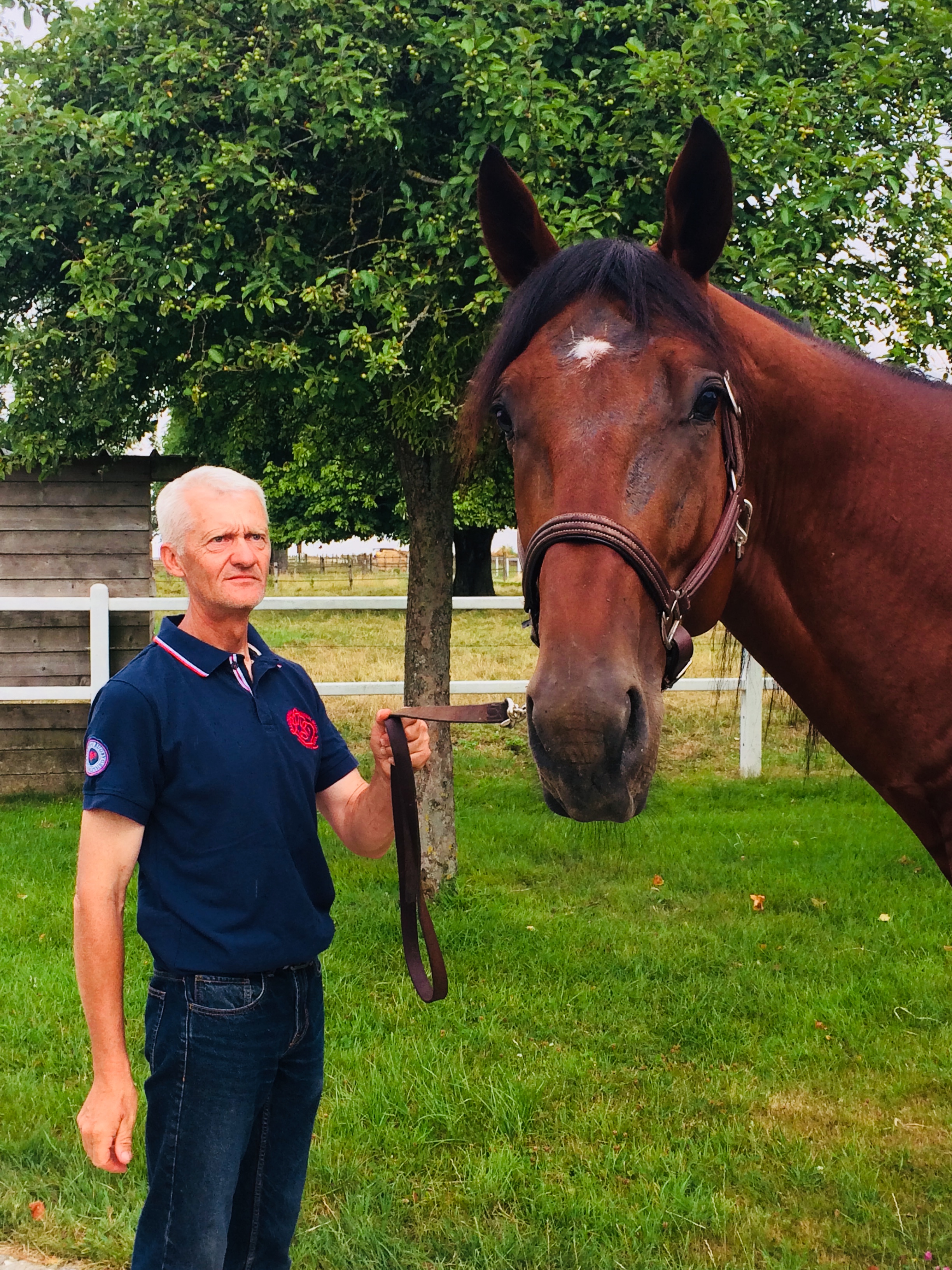 Haras de Tremblay